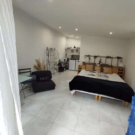Studio Independant Dans Villa, Parking Gratuit. Castelnau-le-Lez Kültér fotó